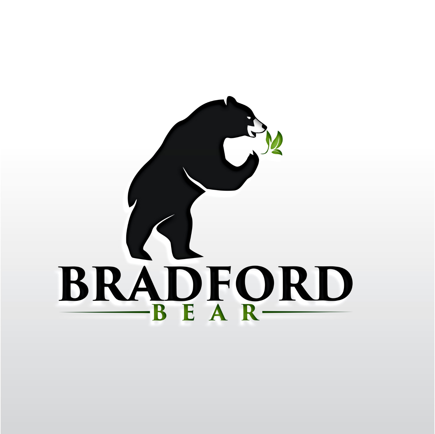Design de Logo par Jennifer Jane pour Bradford Bear LLC | Design #24977449
