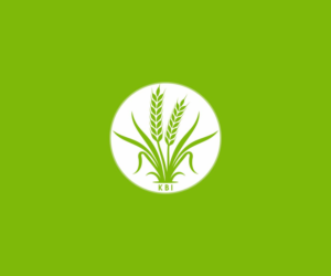 Logo Design by anup bag