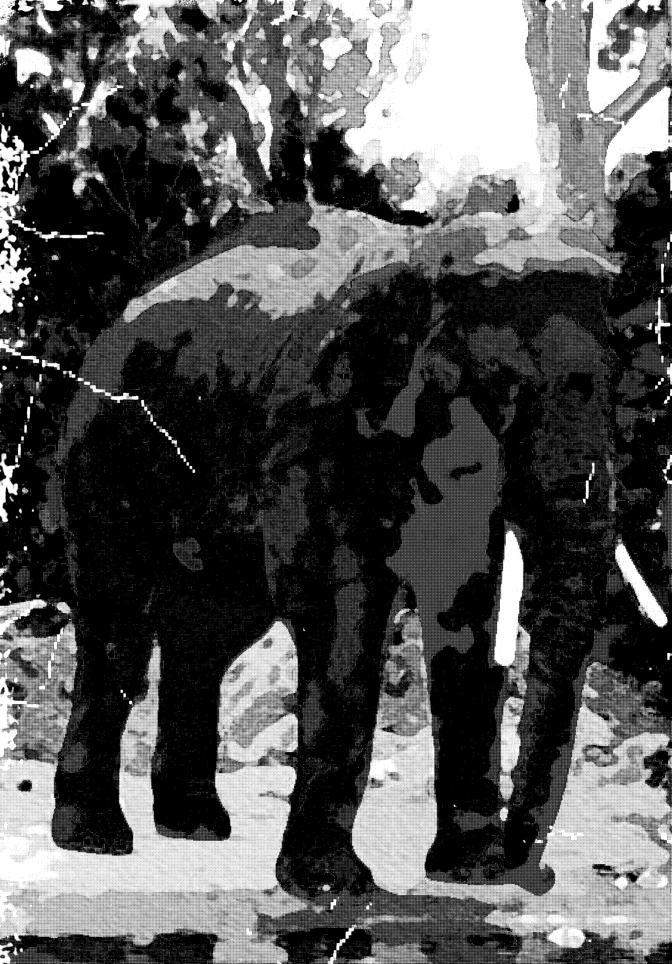 T-shirt Design by daradiazam for this project | Design #24973595