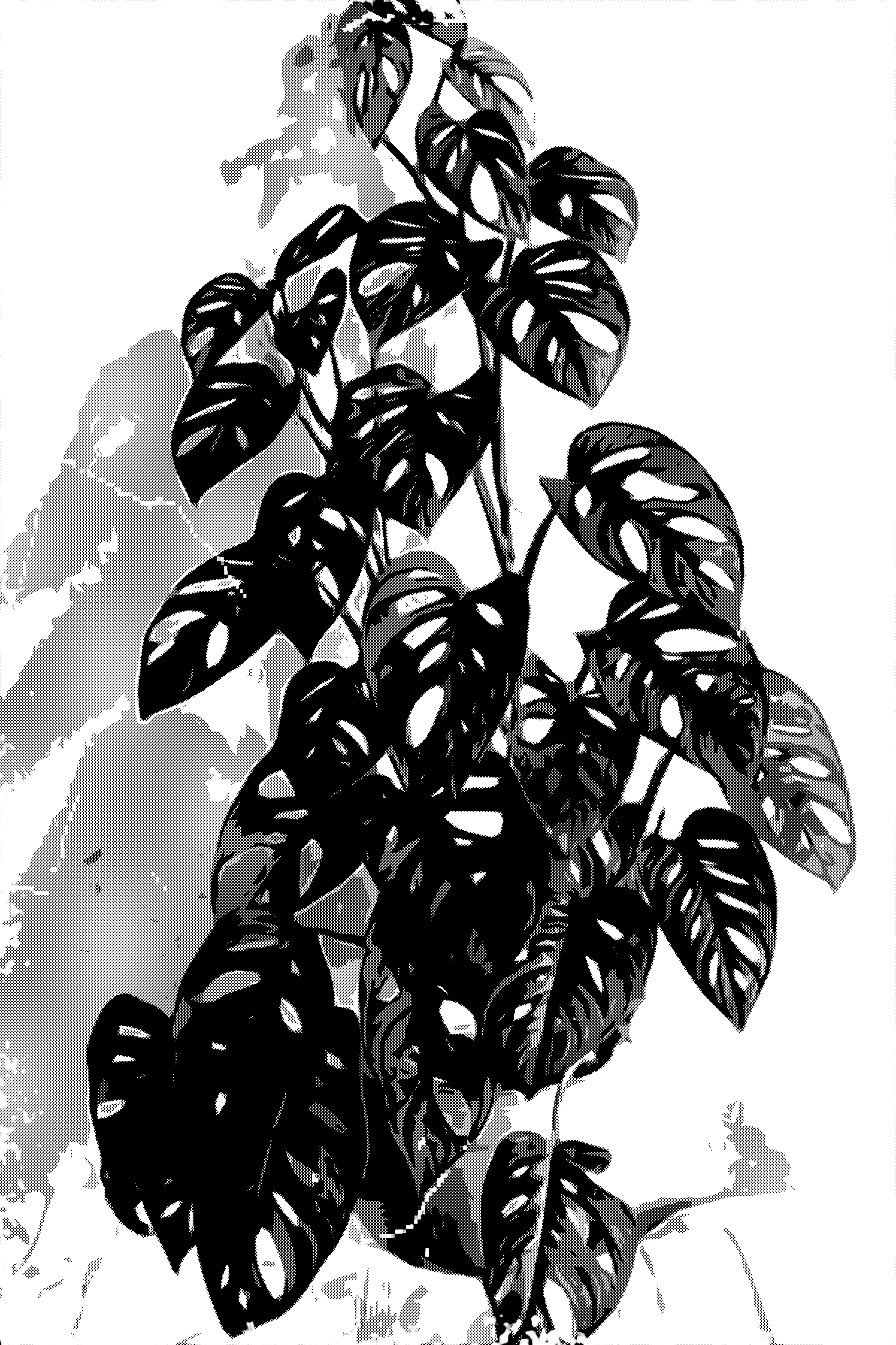 T-shirt Design by daradiazam for this project | Design #24973769