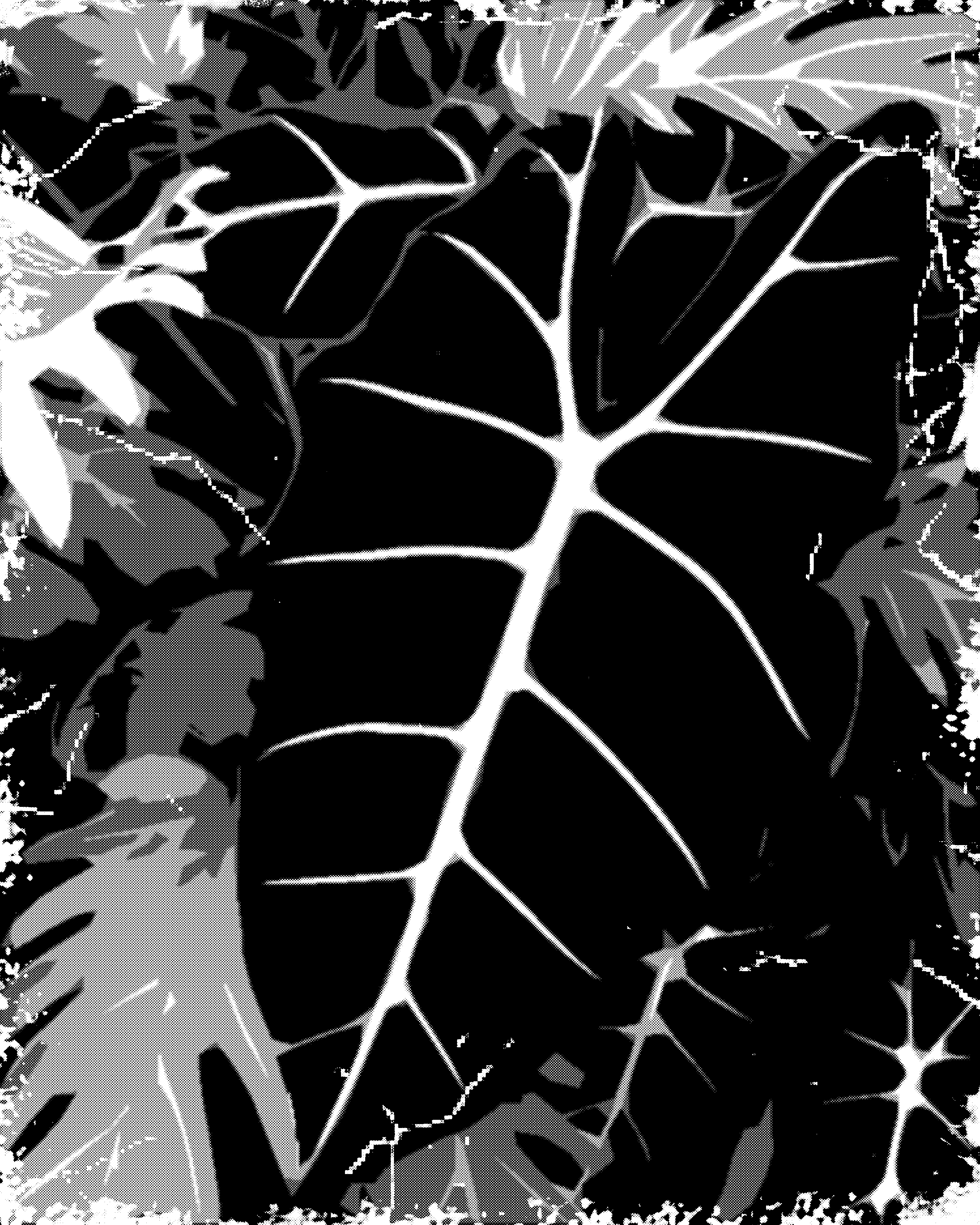 T-shirt Design by daradiazam for this project | Design #24973779