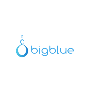 Big Blue | Logo Design by Hiccups Design