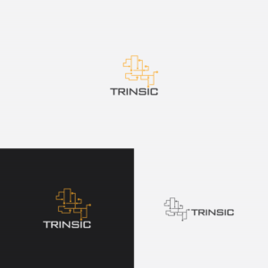 Logo Design by AL-BARAKAH for Trinsic AB | Design: #24969336
