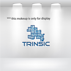 Trinsic | Logo Design by Ochieng