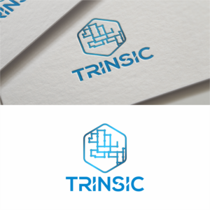 Trinsic | Logo Design by Cah RE 2
