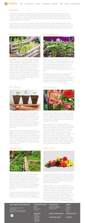 Web Design by Javelin Studio for Corvus Drones BV | Design: #25145405