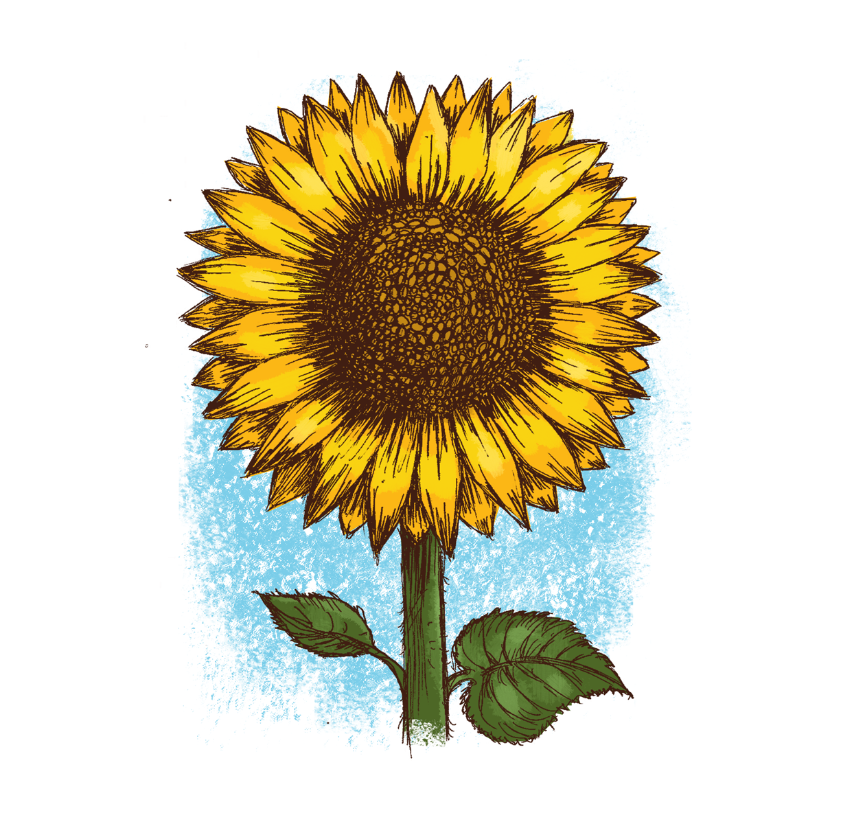 Graphic Design by MNM for AQA Expressions Boutique  | Design #24975184