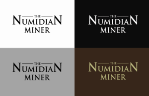 Design de Logo par KingMarker pour ce projet | Design : #25028305
