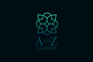 Logo-Design von B.Tibéri für dieses Projekt | Design: #25000643