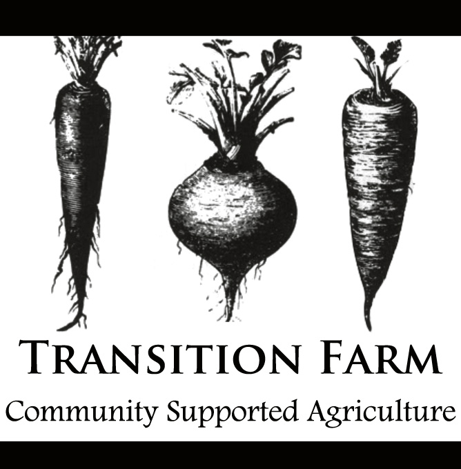 Logo Design by freyamcleod for this project | Design #742569