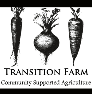 Logo Design by freyamcleod