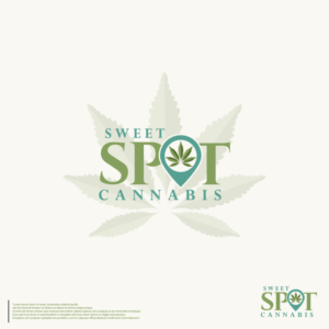 Logo Design by The Silver Screen Studio