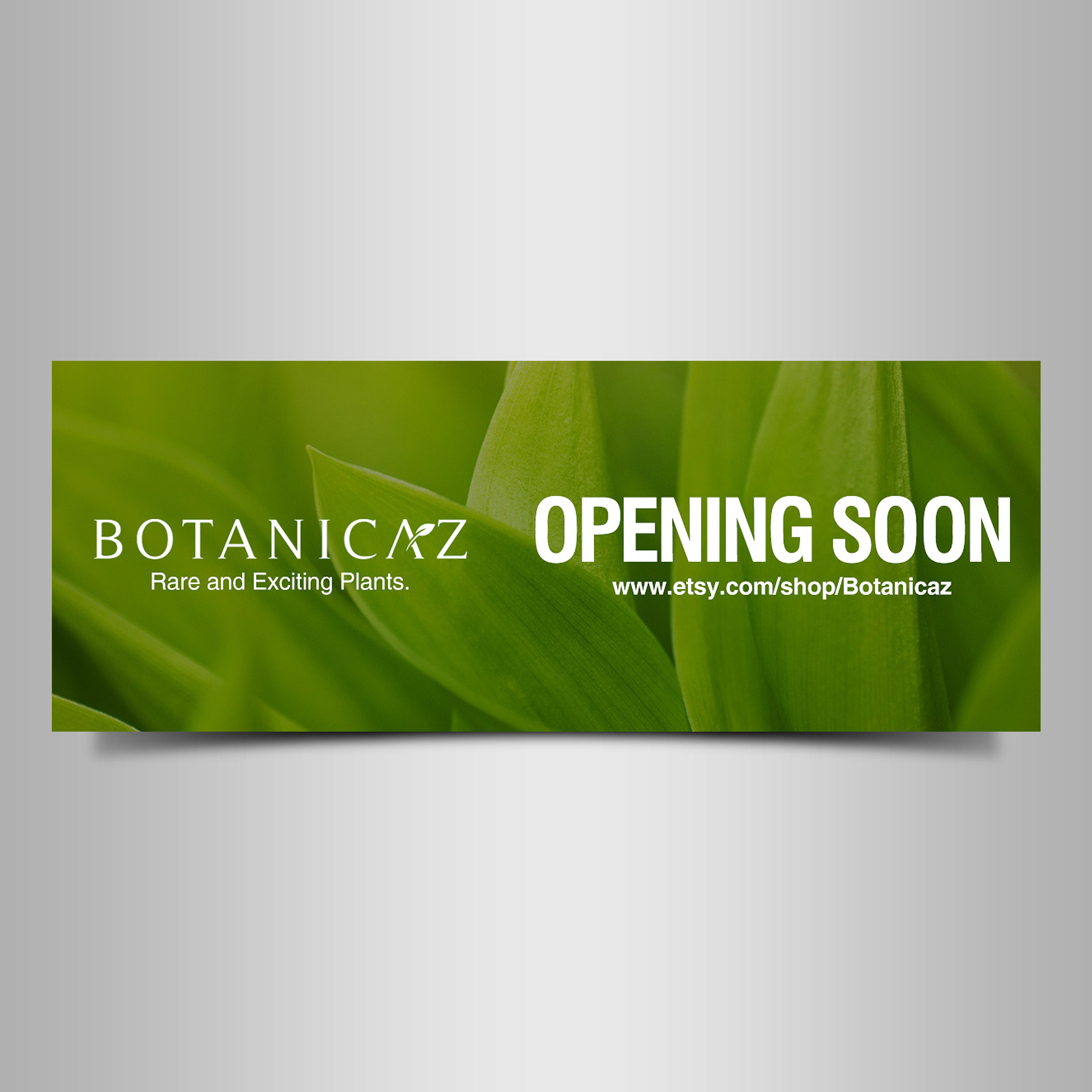 Signage Design by Designers Hub for Botanicaz LLC | Design #24988654