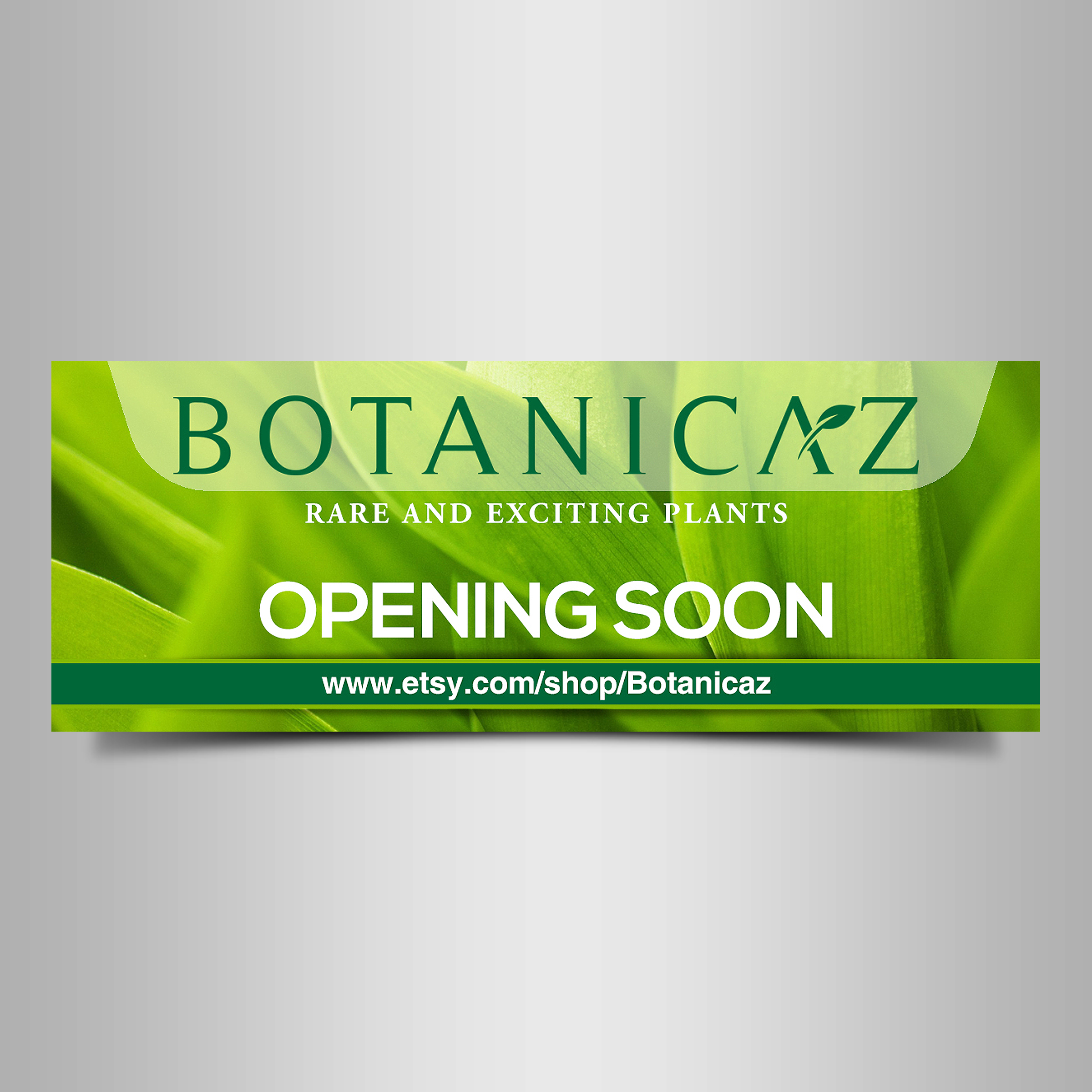 Signage Design by Designers Hub for Botanicaz LLC | Design #24989101