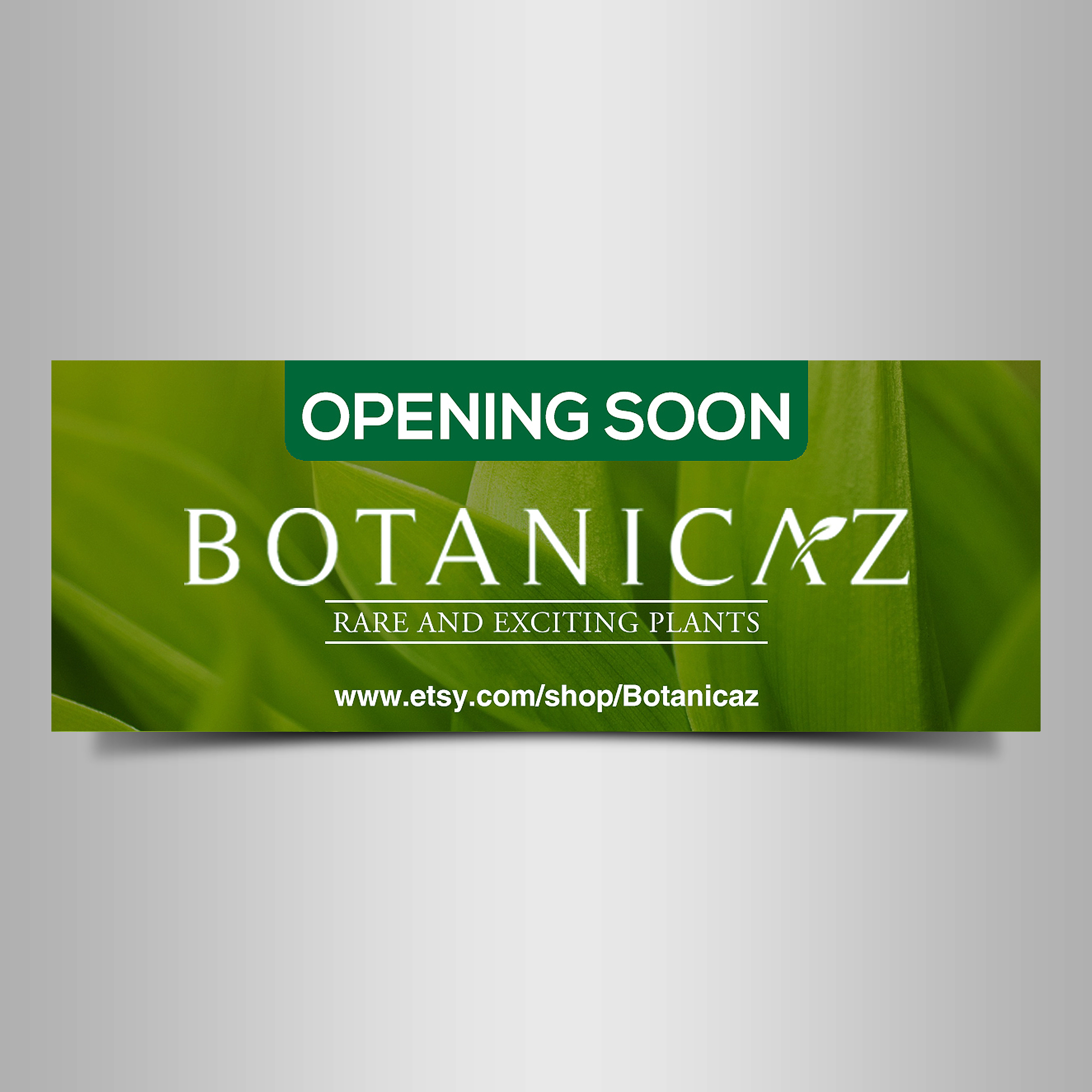 Signage Design by Designers Hub for Botanicaz LLC | Design #24991597
