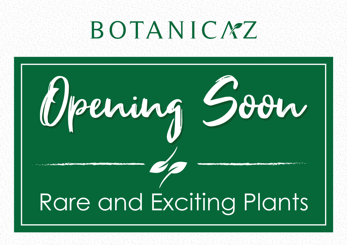 Signage Design by JK18 for Botanicaz LLC | Design #24985992