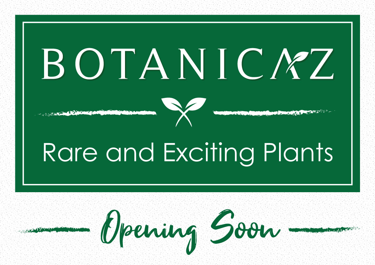 Signage Design by JK18 for Botanicaz LLC | Design #24988215
