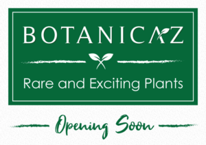 Signage Design by JK18 for Botanicaz LLC | Design: #24988215