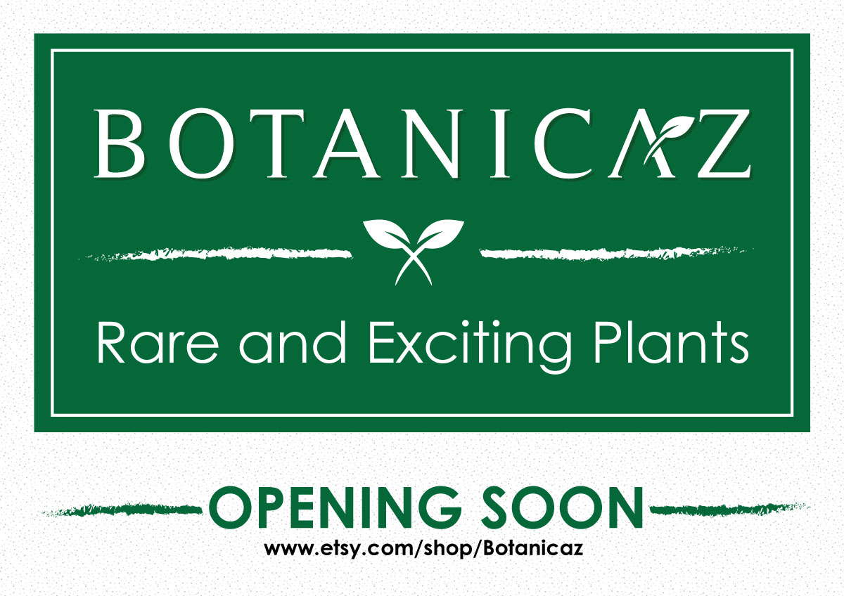 Diseño de Señalética por JK18 para Botanicaz LLC | Diseño #24989413