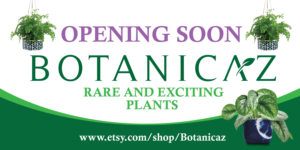 Diseño de Señalética por rkailas para Botanicaz LLC | Diseño #24991614