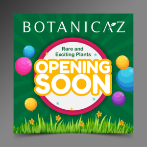Opening Soon Sign for New Rare Plant Business | Diseño de Señalética por ecorokerz