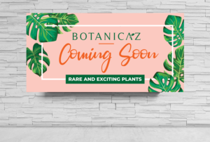 Signage Design by Aurora:)