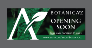 Signage Design by u2square for Botanicaz LLC | Design: #24989145