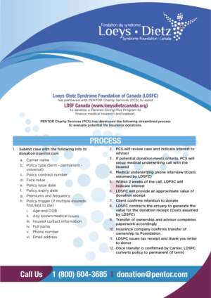 Broschüren-Design von avi's für dieses Projekt | Design: #25034251