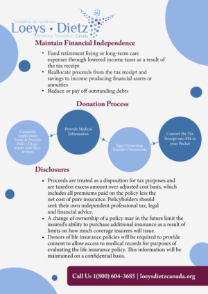 Broschüren-Design von Fixshape designs für dieses Projekt | Design: #25079359