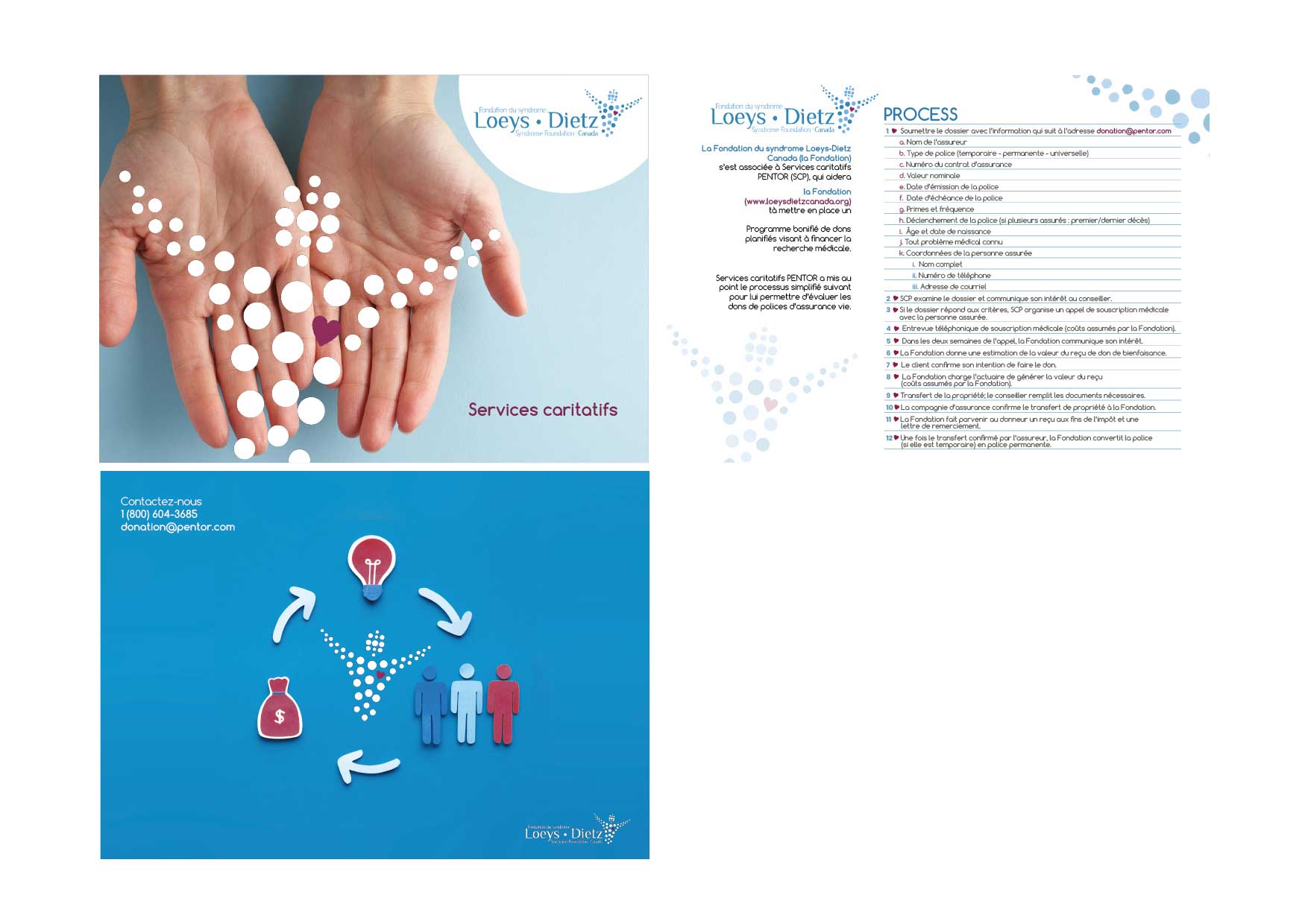 Brochure Design by lalpispita for this project | Design #25080330