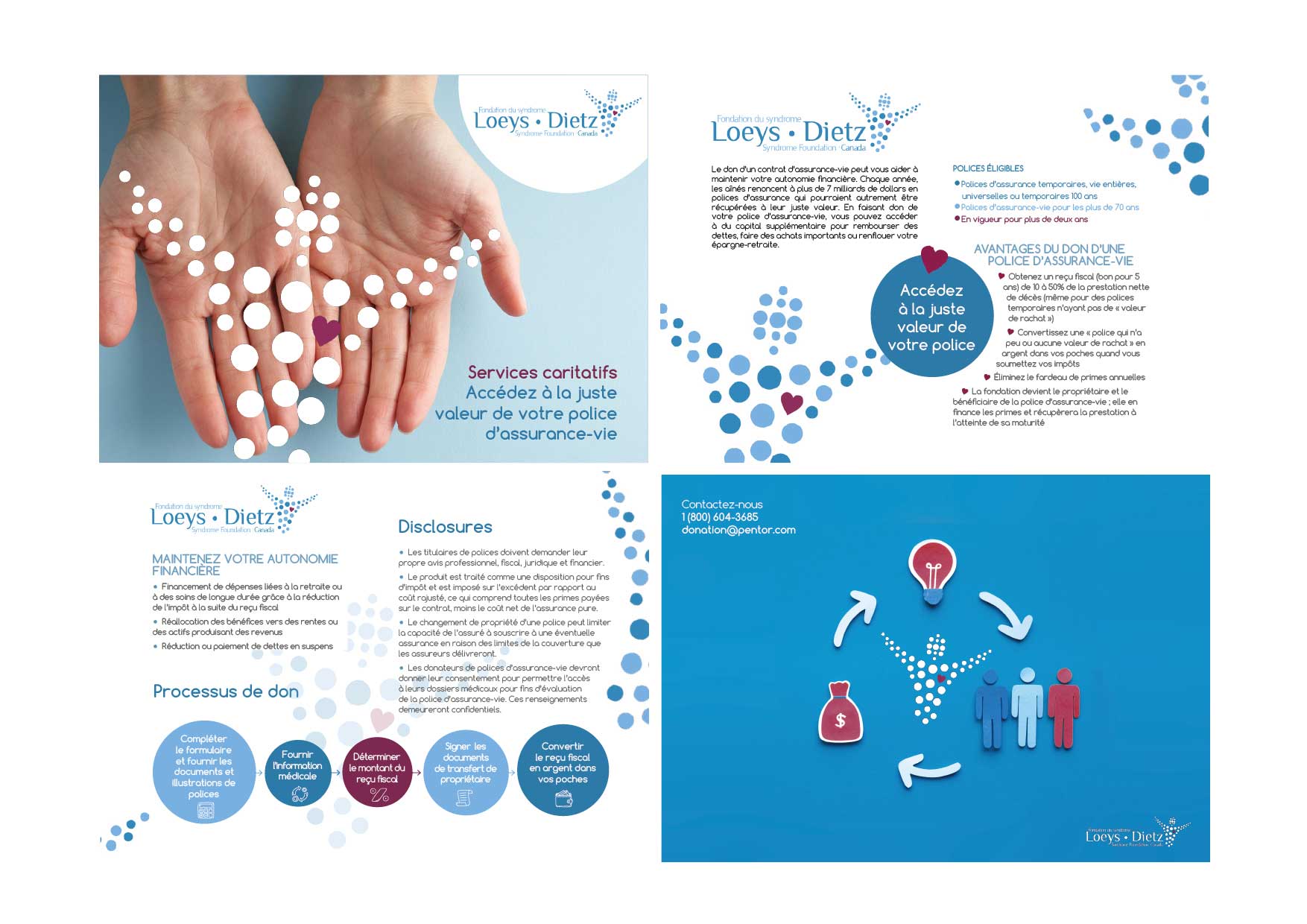 Brochure Design by lalpispita for this project | Design #25080331