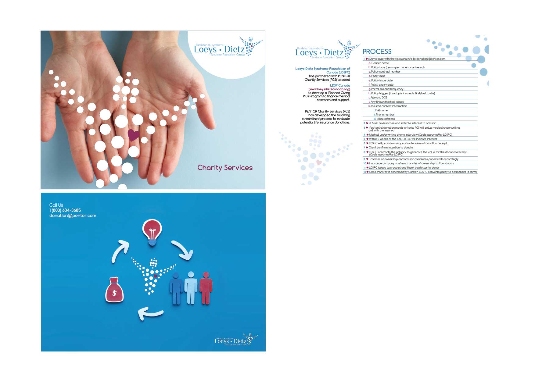 Diseño de Brochure por lalpispita para este proyecto | Diseño #25080332