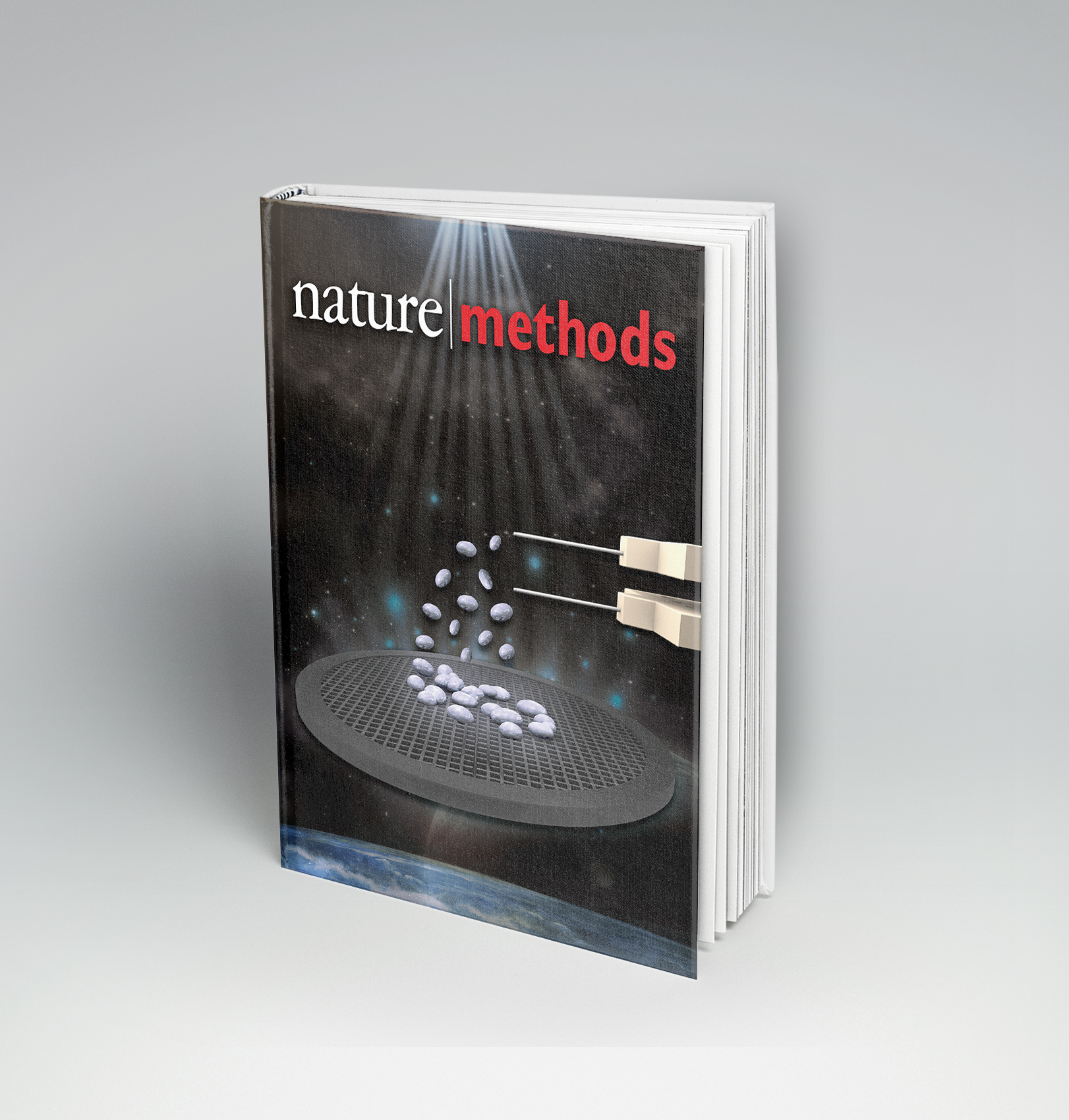 Graphic Design by Rickyy for this project | Design #25006412