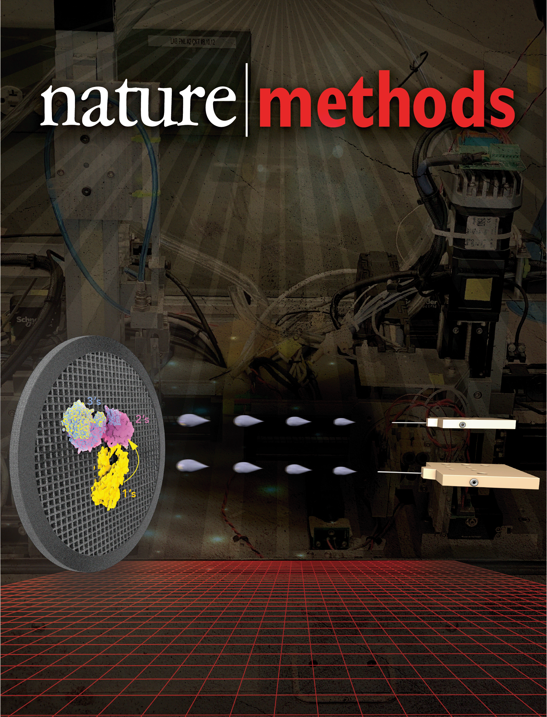 Graphic Design by Rickyy for this project | Design #25028124