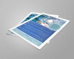 Empire State Ambulatory Flyer | Flyer Design by banedsgn
