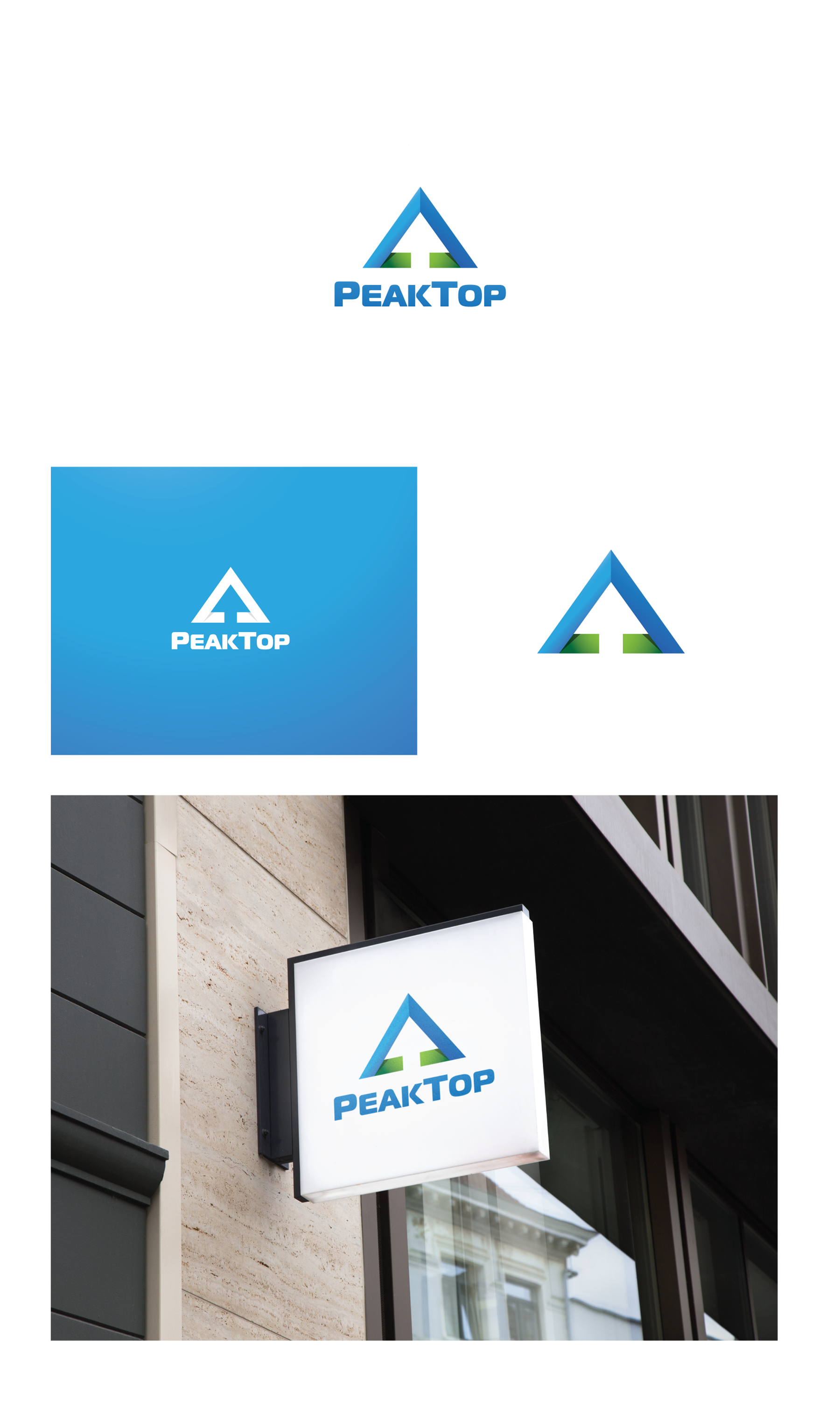 Logo Design by Luc1ano for Peaktop GmbH | Design #25014691