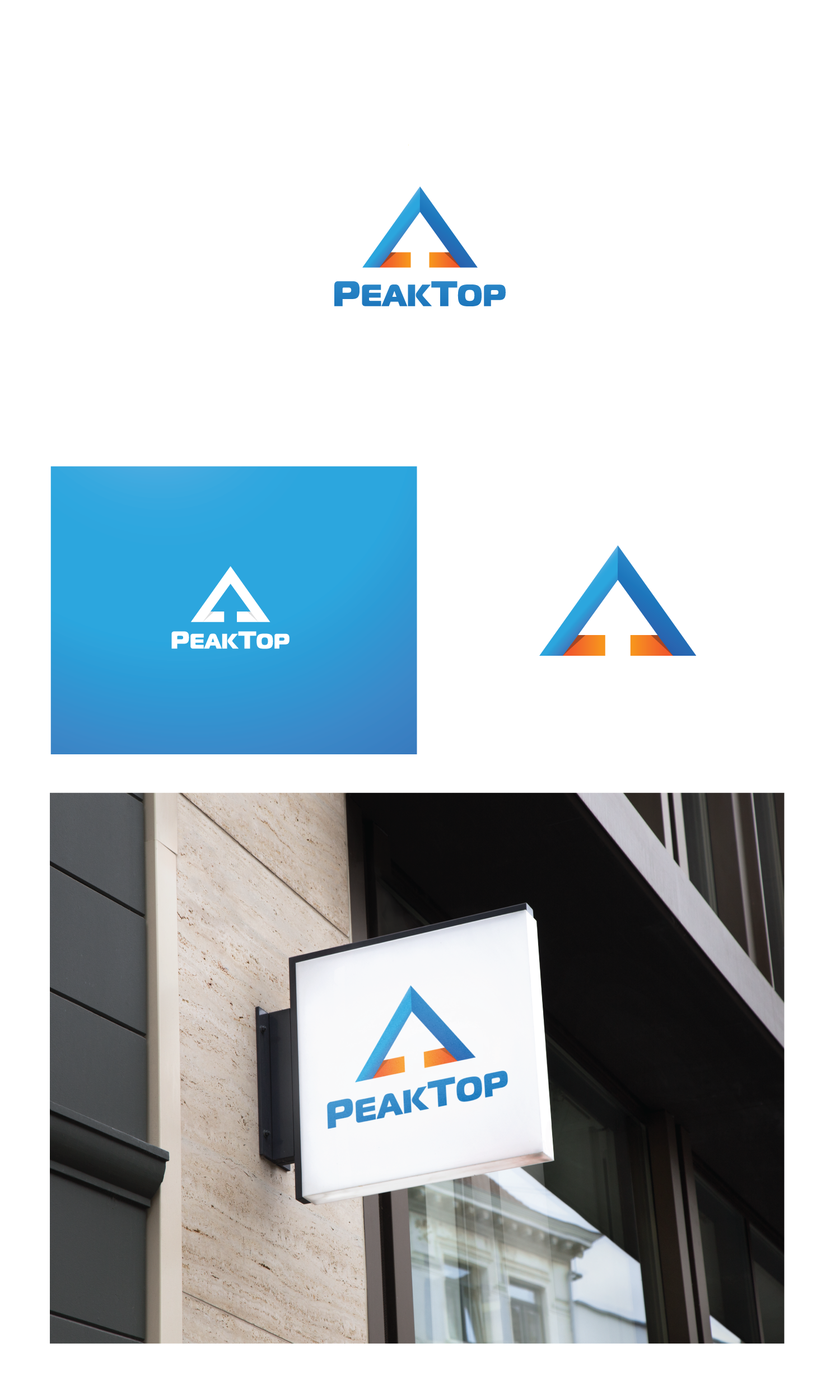 Logo Design by Luc1ano for Peaktop GmbH | Design #25014738