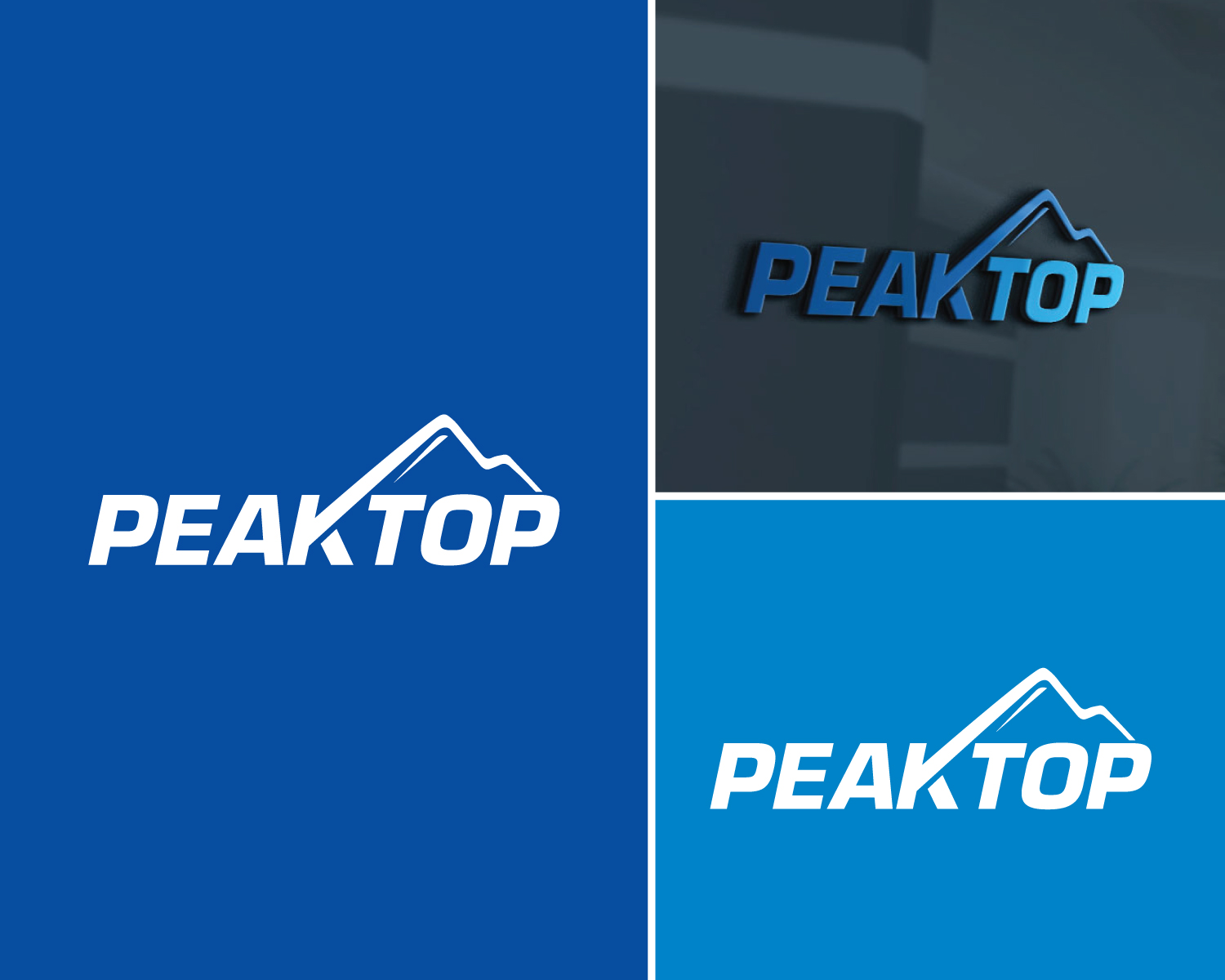 Logo Design by Atec for Peaktop GmbH | Design #25003524