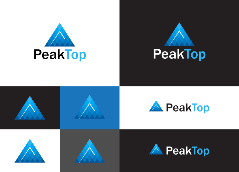 Logo Design by Falcon 2 for Peaktop GmbH | Design #25018226