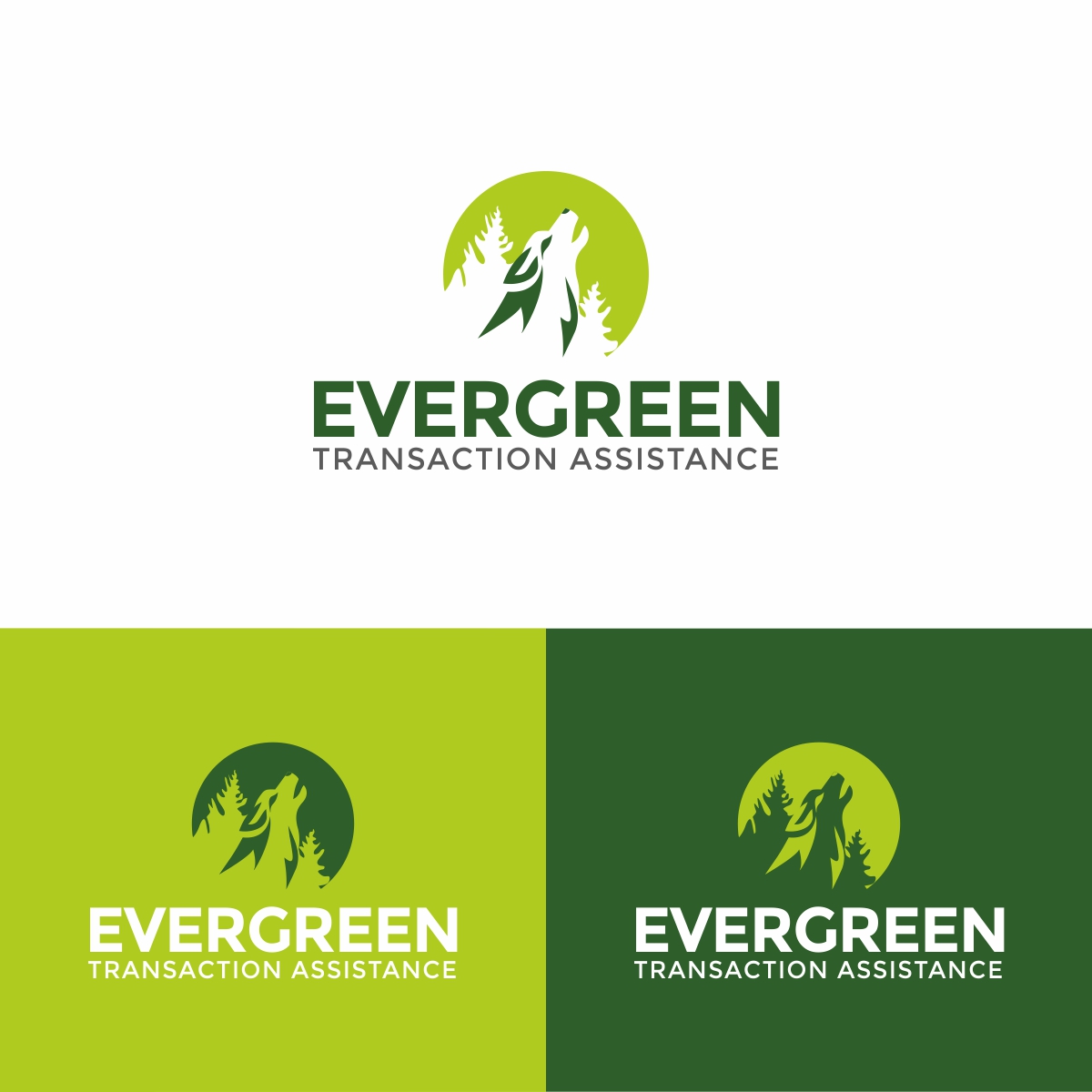 Diseño de Logo por Regh Element para Evergreen TA | Diseño #25050100