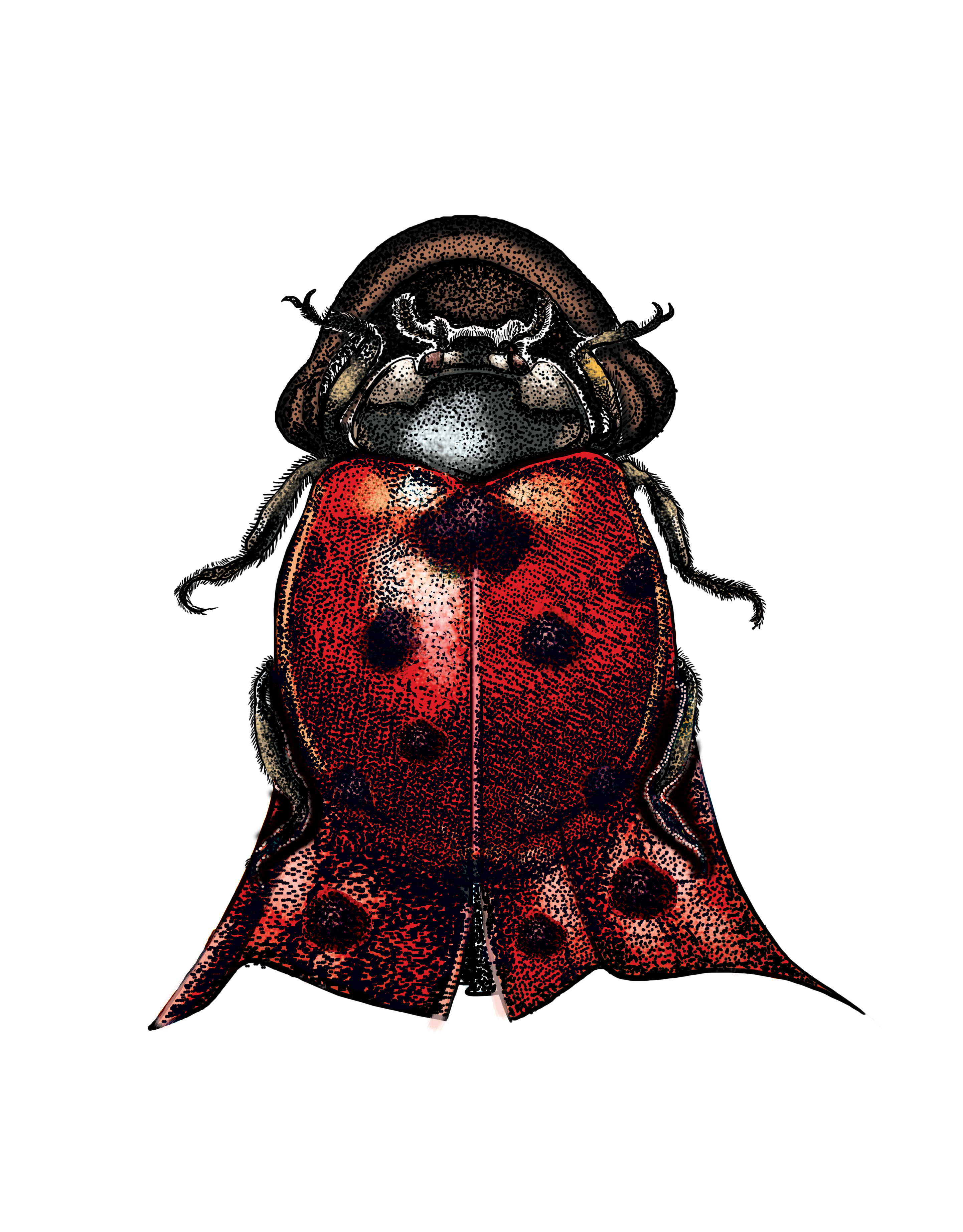 T-shirt Design by digitalpolo.com for this project | Design #25057335