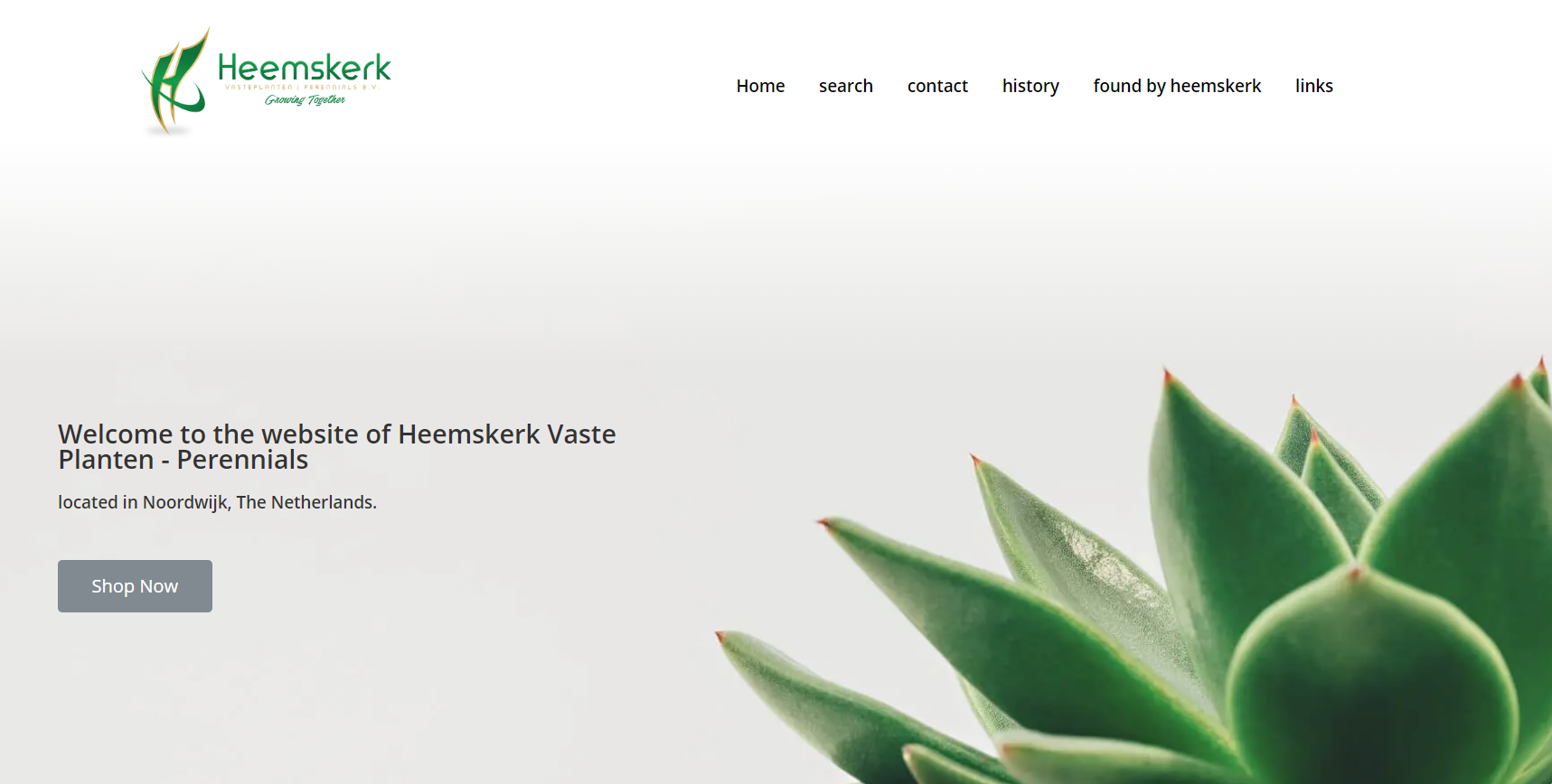 Web Design by Air Spyders for Heemskerk Vasteplanten BV | Design #25067317