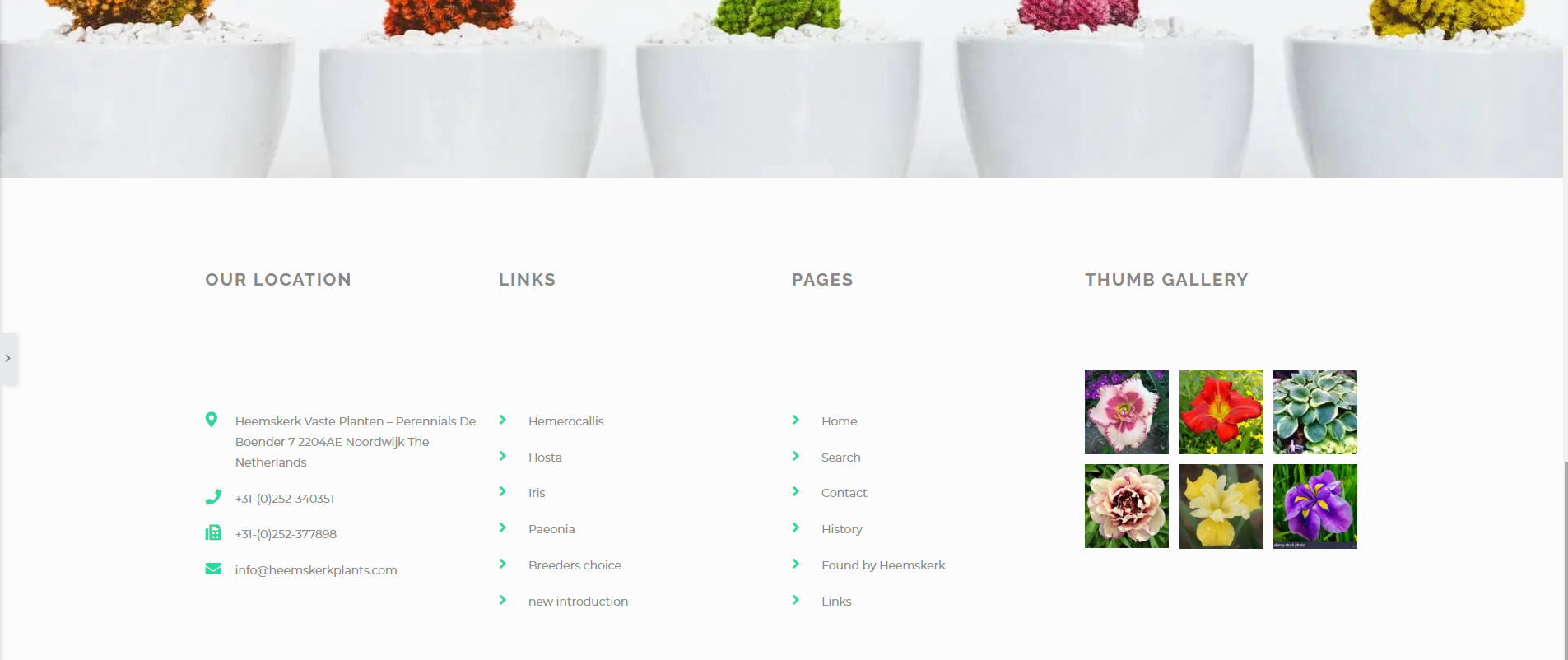 Web-Design von Air Spyders für Heemskerk Vasteplanten BV | Design #25067318