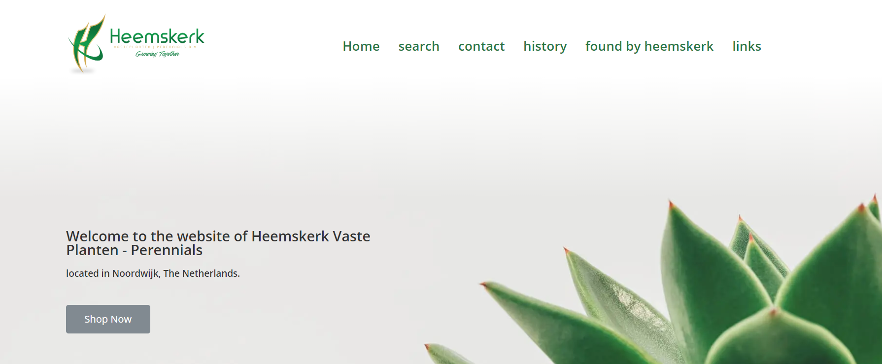 Web-Design von Air Spyders für Heemskerk Vasteplanten BV | Design #25067665