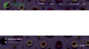 Web Design by logo_hunter