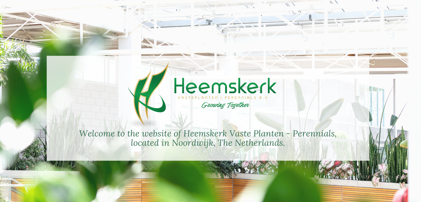 Web Design by philona.ali for Heemskerk Vasteplanten BV | Design #25067650