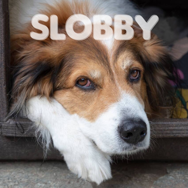 Book Cover Design by DesignART for this project | Design #25042391