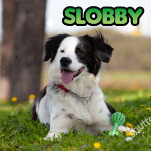 Cover for a children’s book ages 1-5 called “slobby” | Diseño de portada de libro por DesignART