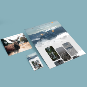 Web Design by Air Spyders