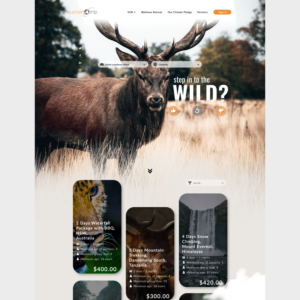 Diseño Web por Air Spyders para este proyecto | Diseño: #25060219